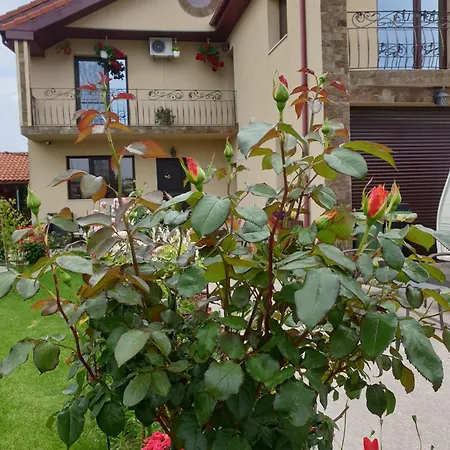 Casa Honey